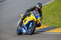 PJ-Motorsport-2019;anglesey-no-limits-trackday;anglesey-photographs;anglesey-trackday-photographs;enduro-digital-images;event-digital-images;eventdigitalimages;no-limits-trackdays;peter-wileman-photography;racing-digital-images;trac-mon;trackday-digital-images;trackday-photos;ty-croes